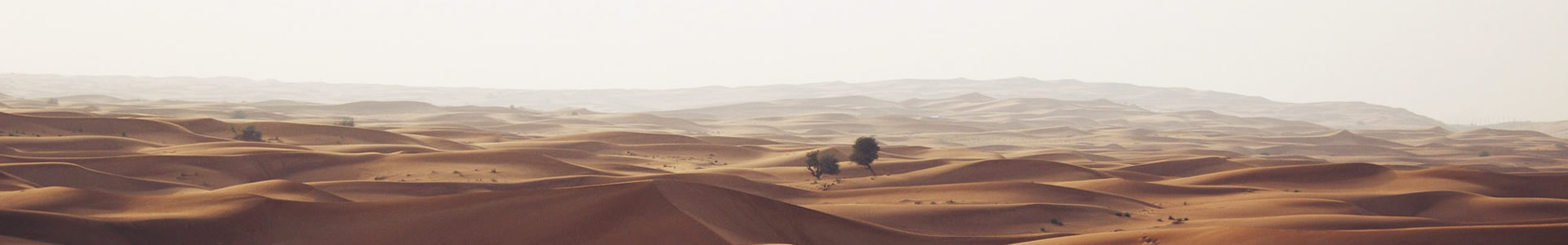 ݸлܽ޹˾